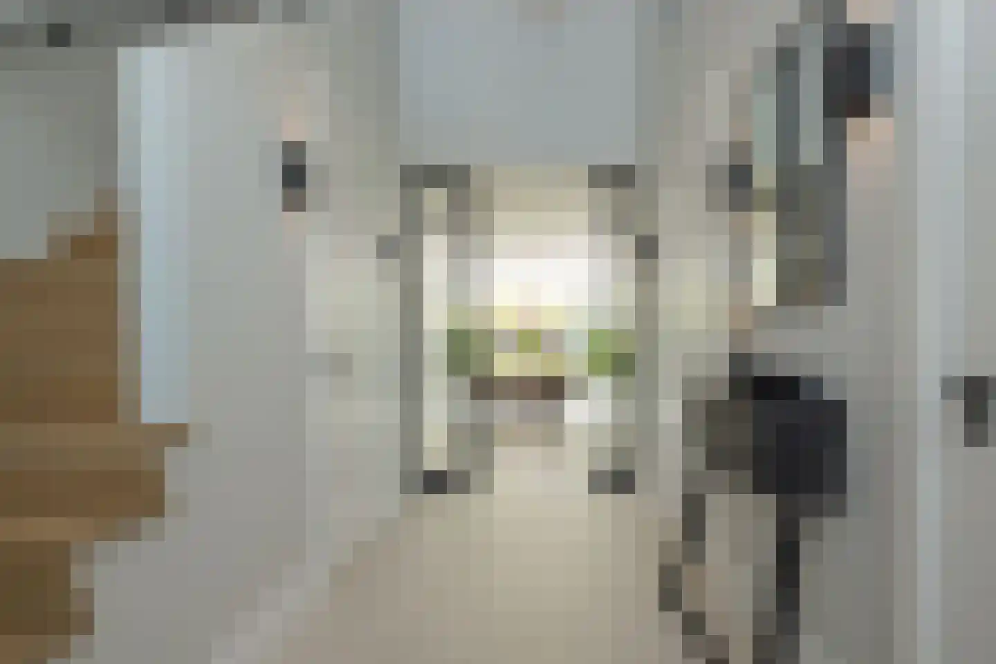 Don Boscostraat 1 Lisse thumbnail 9