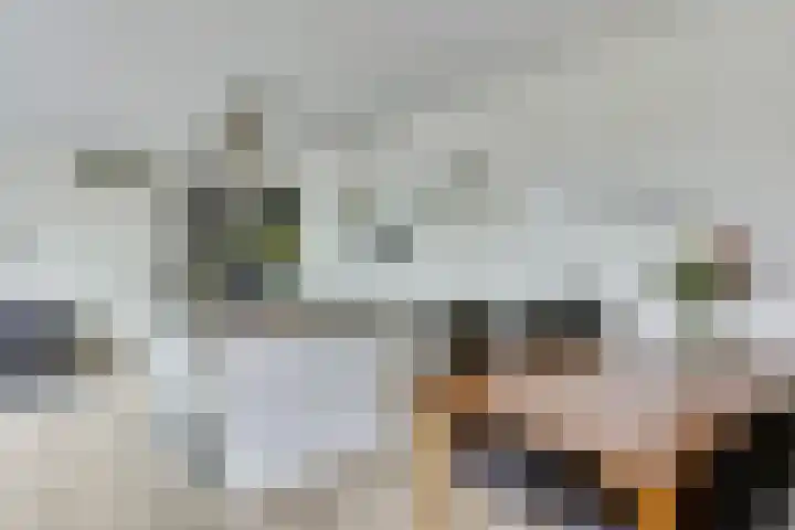 Don Boscostraat 100 Veldhoven thumbnail 15