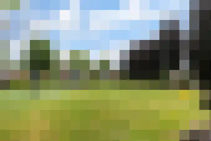 Don Boscostraat 100 Veldhoven thumbnail 33