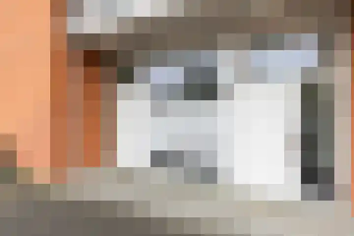 Don Boscostraat 100 Veldhoven thumbnail 4