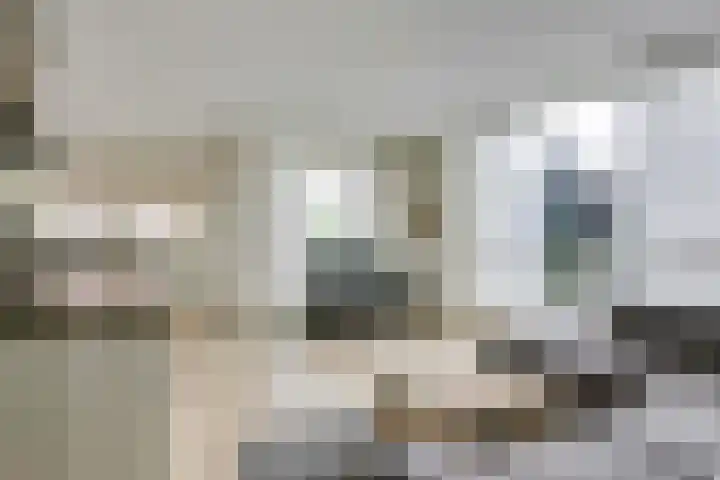 Don Boscostraat 100 Veldhoven thumbnail 8