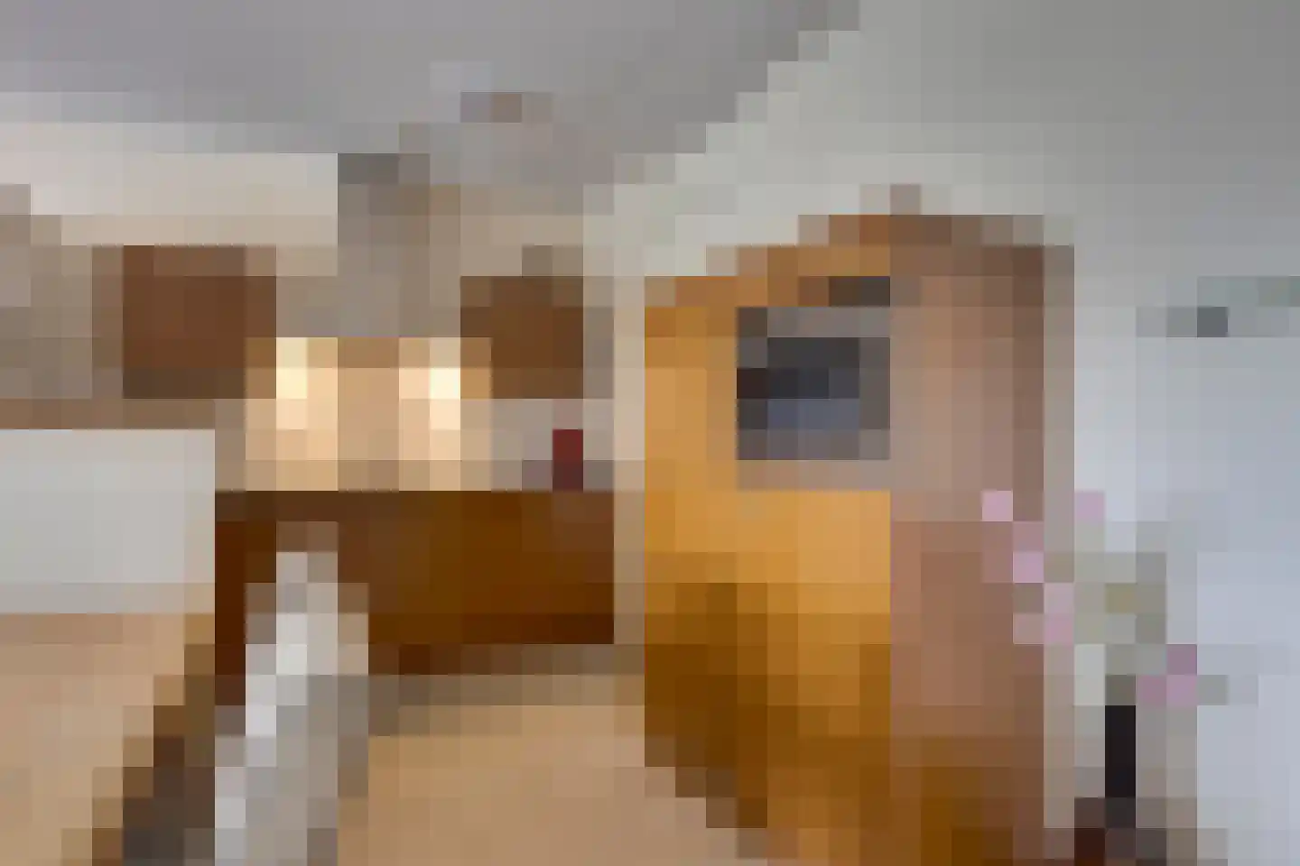 Don Boscostraat 128 Veldhoven thumbnail 18