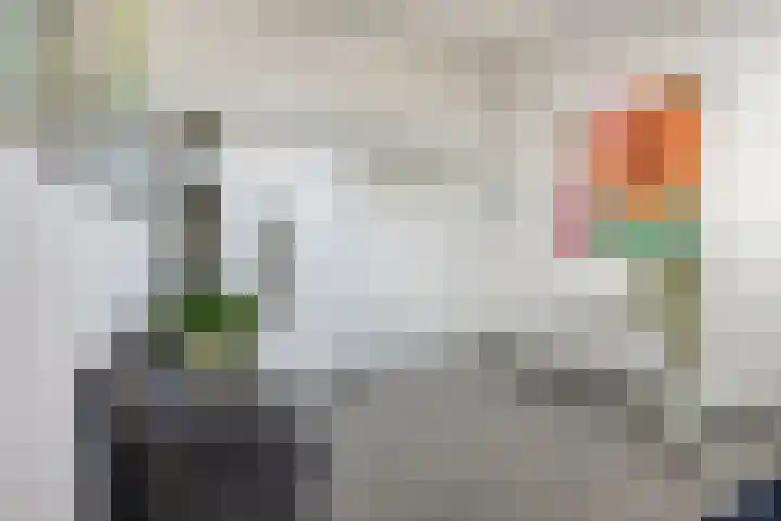 Don Boscostraat 132 Veldhoven thumbnail 24