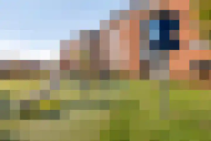 Don Boscostraat 132 Veldhoven thumbnail 30