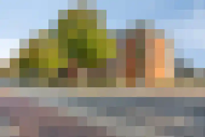 Don Boscostraat 132 Veldhoven thumbnail 35