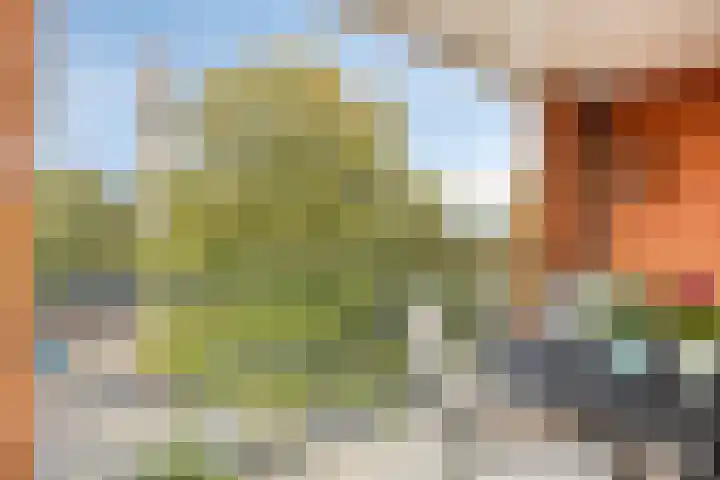 Don Boscostraat 132 Veldhoven thumbnail 9