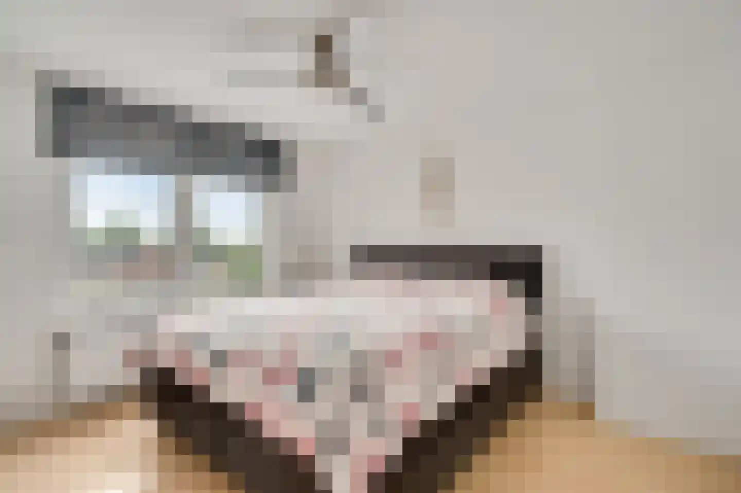 Don Boscostraat 17 Ulestraten thumbnail 12