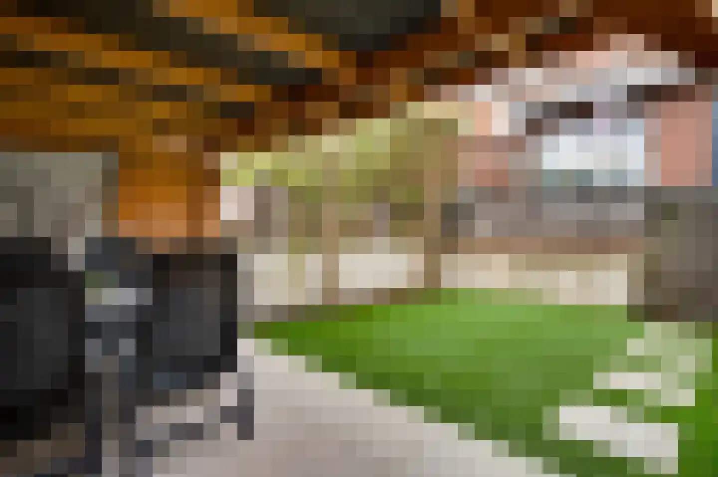Don Boscostraat 17 Ulestraten thumbnail 18