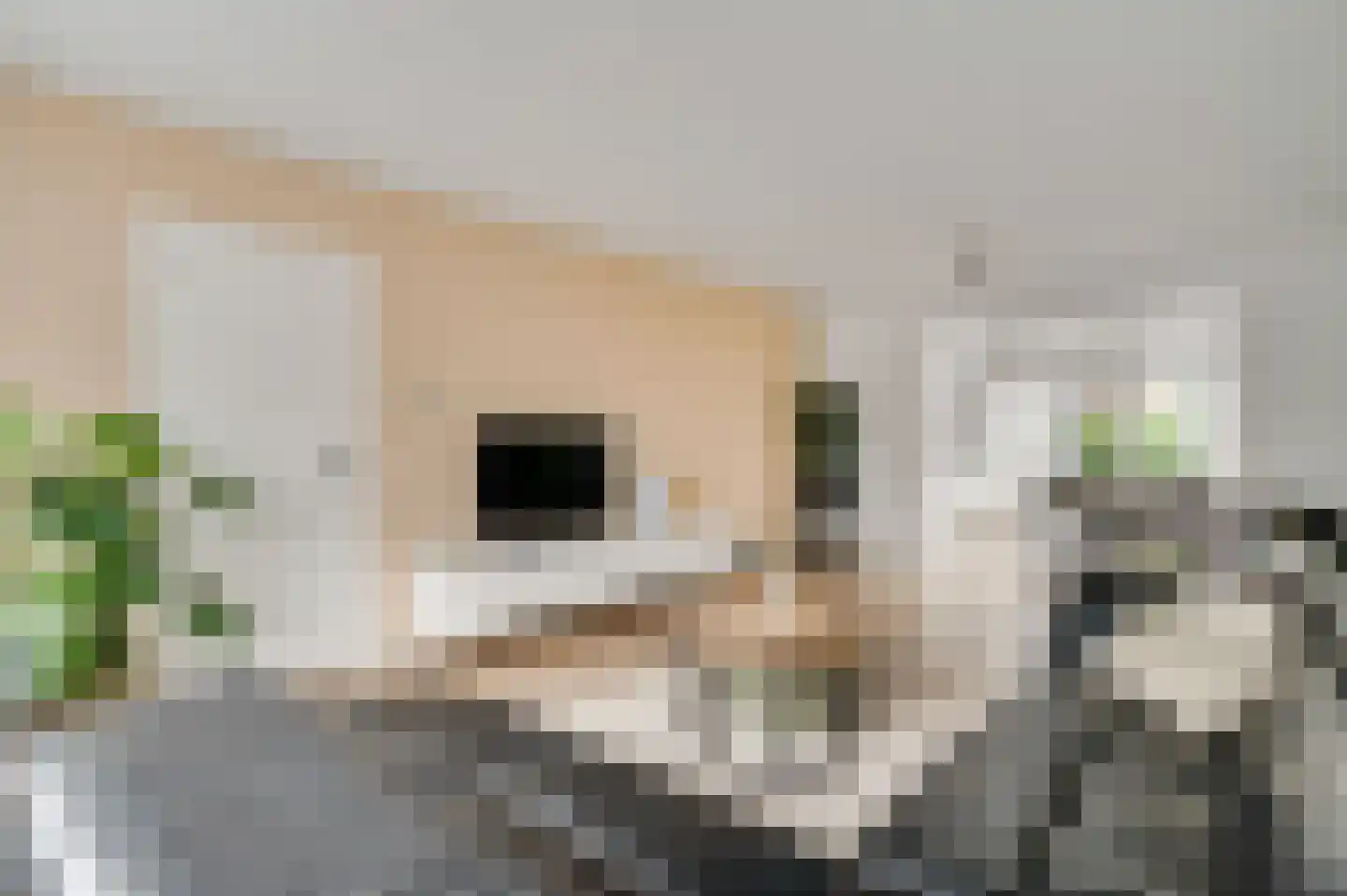 Don Boscostraat 17 Ulestraten thumbnail 7
