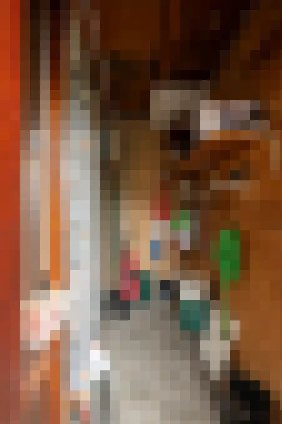 Don Boscostraat 18 Ossendrecht thumbnail 36