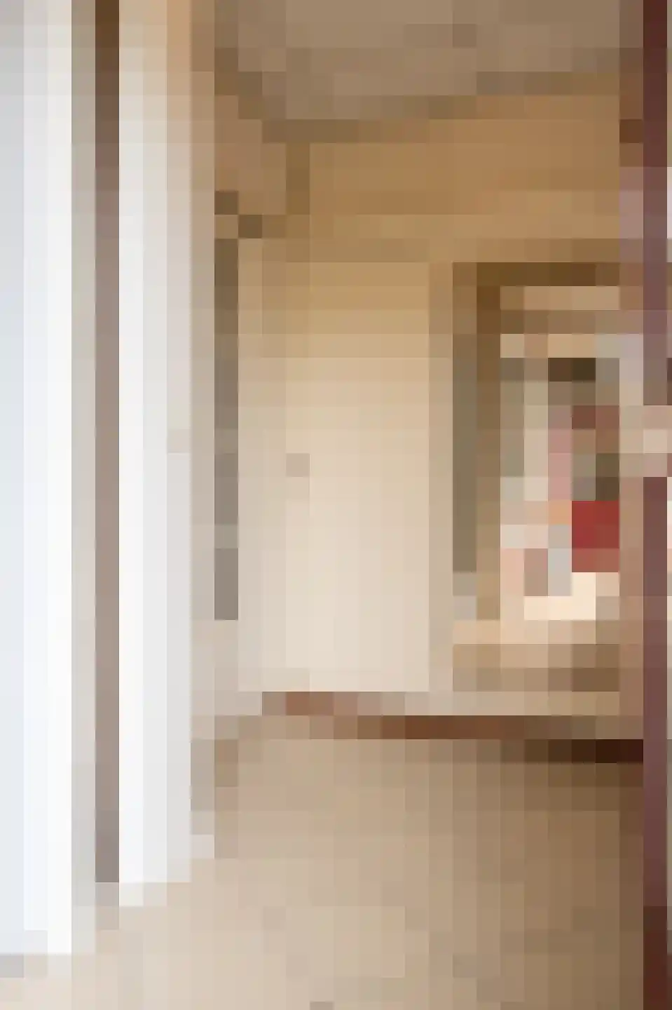 Don Boscostraat 18 Ossendrecht thumbnail 5