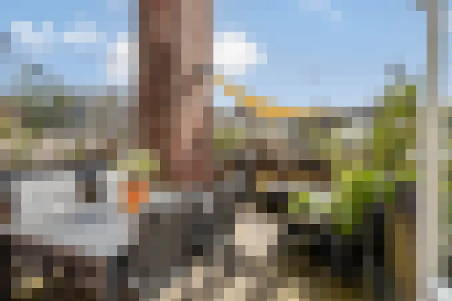 Don Boscostraat 23 Eindhoven thumbnail 4