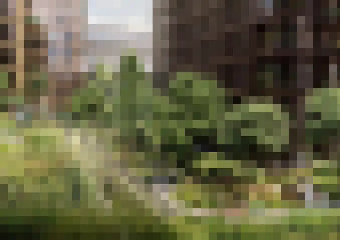 Don Boscostraat 437 Amsterdam thumbnail 4