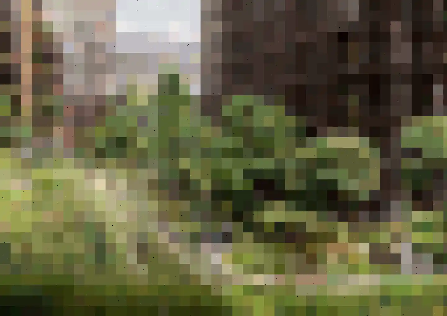 Don Boscostraat 455 Amsterdam thumbnail 4