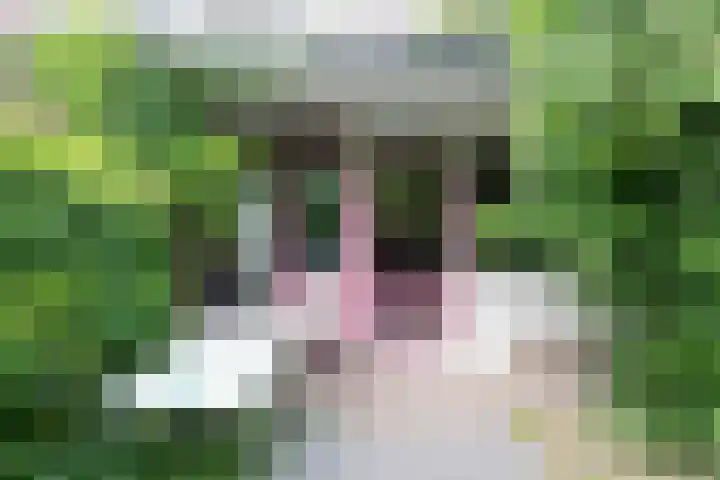 Don Boscostraat 57 Tilburg thumbnail 20