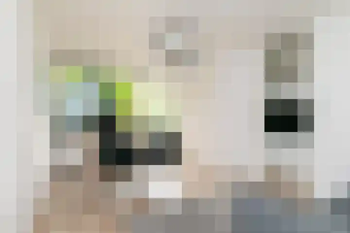 Don Boscostraat 57 Tilburg thumbnail 5