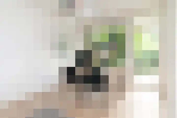 Don Boscostraat 57 Tilburg thumbnail 8