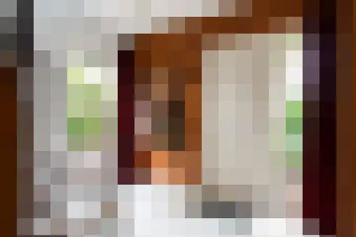 Don Boscostraat 7 Ossendrecht thumbnail 15