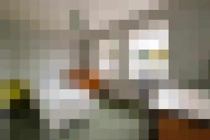 Don Boscostraat 7 Ossendrecht thumbnail 19