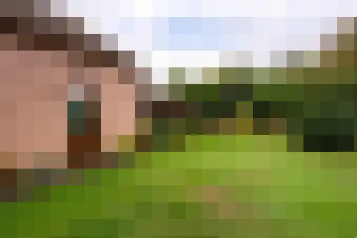 Don Boscostraat 7 Ossendrecht thumbnail 36