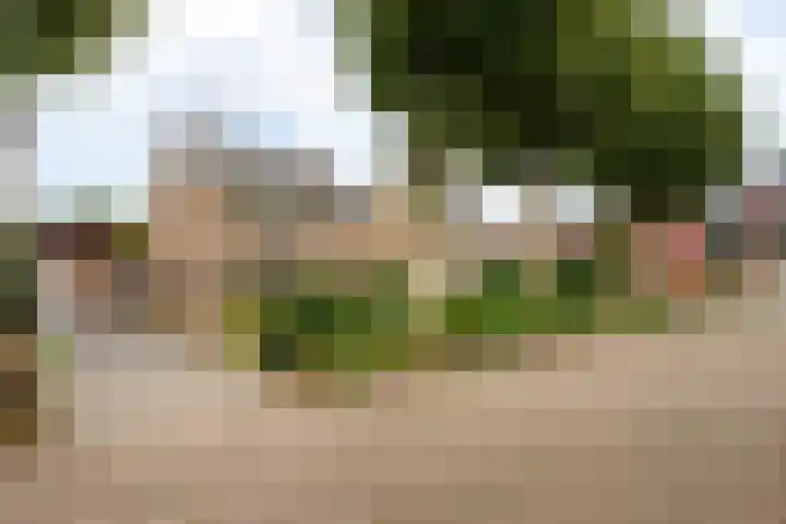 Don Boscostraat 7 Ossendrecht thumbnail 4