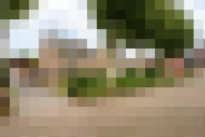 Don Boscostraat 7 Ossendrecht thumbnail 42