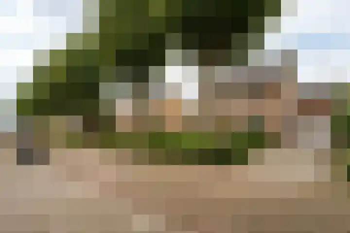 Don Boscostraat 7 Ossendrecht thumbnail 44