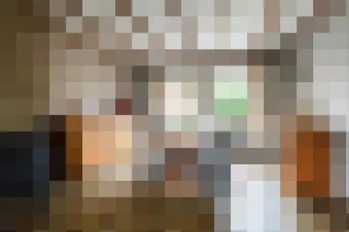 Don Boscostraat 7 Ossendrecht thumbnail 7