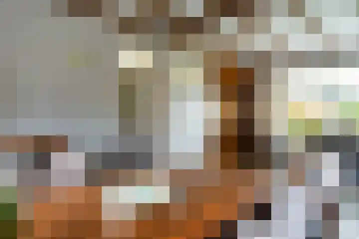 Don Boscostraat 7 Ossendrecht thumbnail 8