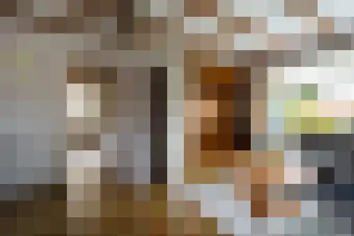 Don Boscostraat 7 Ossendrecht thumbnail 9