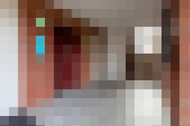 Don Boscostraat 75 Ossendrecht thumbnail 5