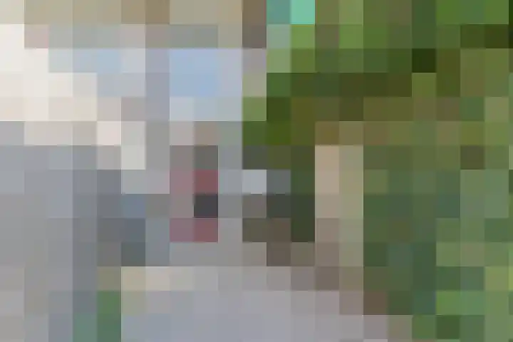 Don Boscostraat 95 Tilburg thumbnail 16
