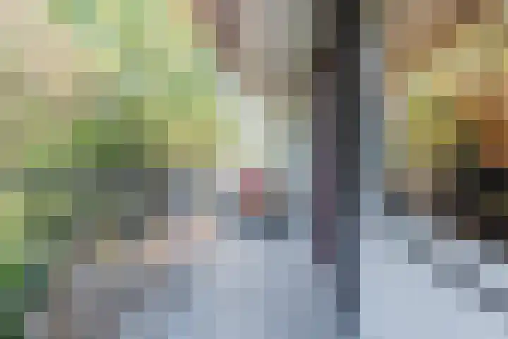 Don Boscostraat 95 Tilburg thumbnail 6