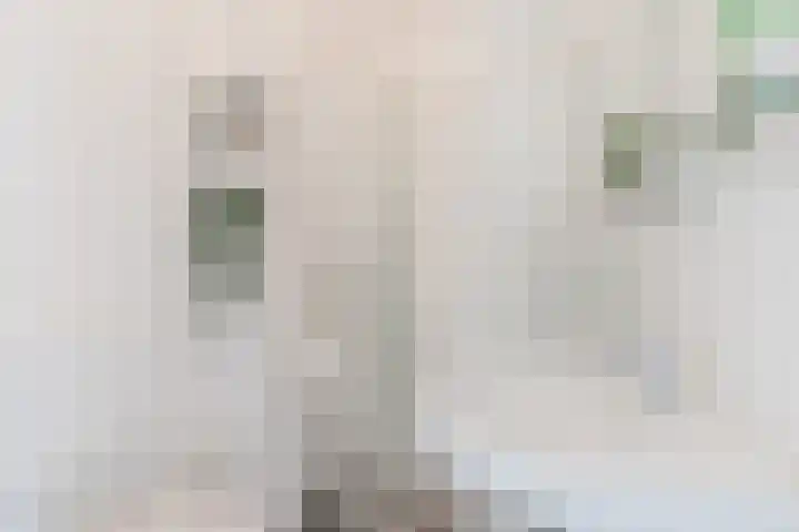 Don Boscostraat 95 Tilburg thumbnail 9