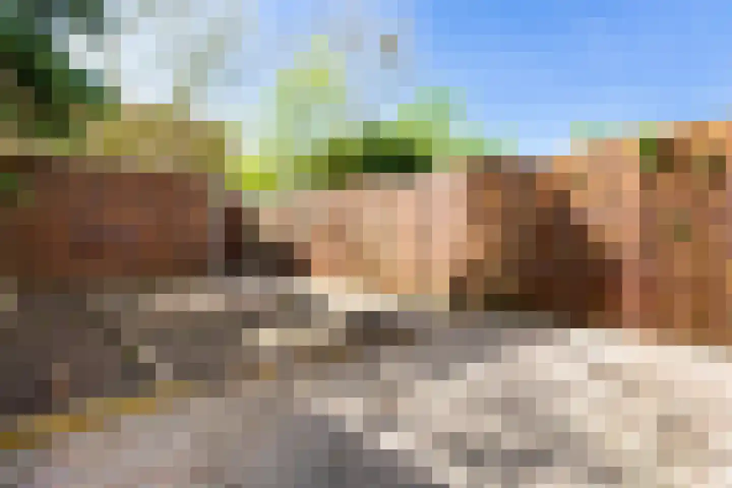 Don Carloshof 15 Hoogvliet Rotterdam thumbnail 16