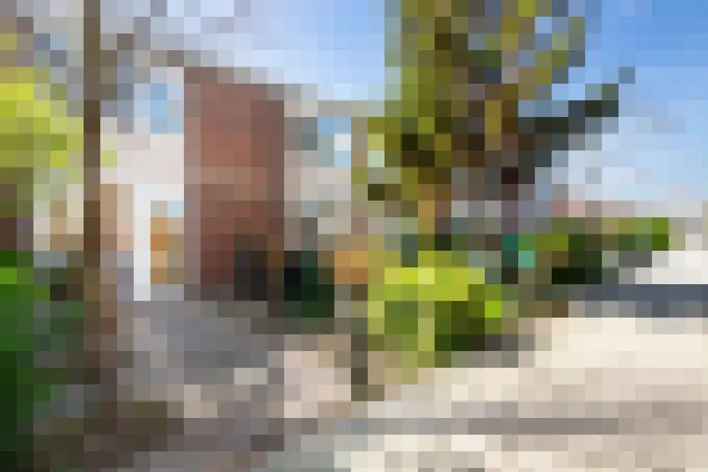 Don Carloshof 15 Hoogvliet Rotterdam thumbnail 21