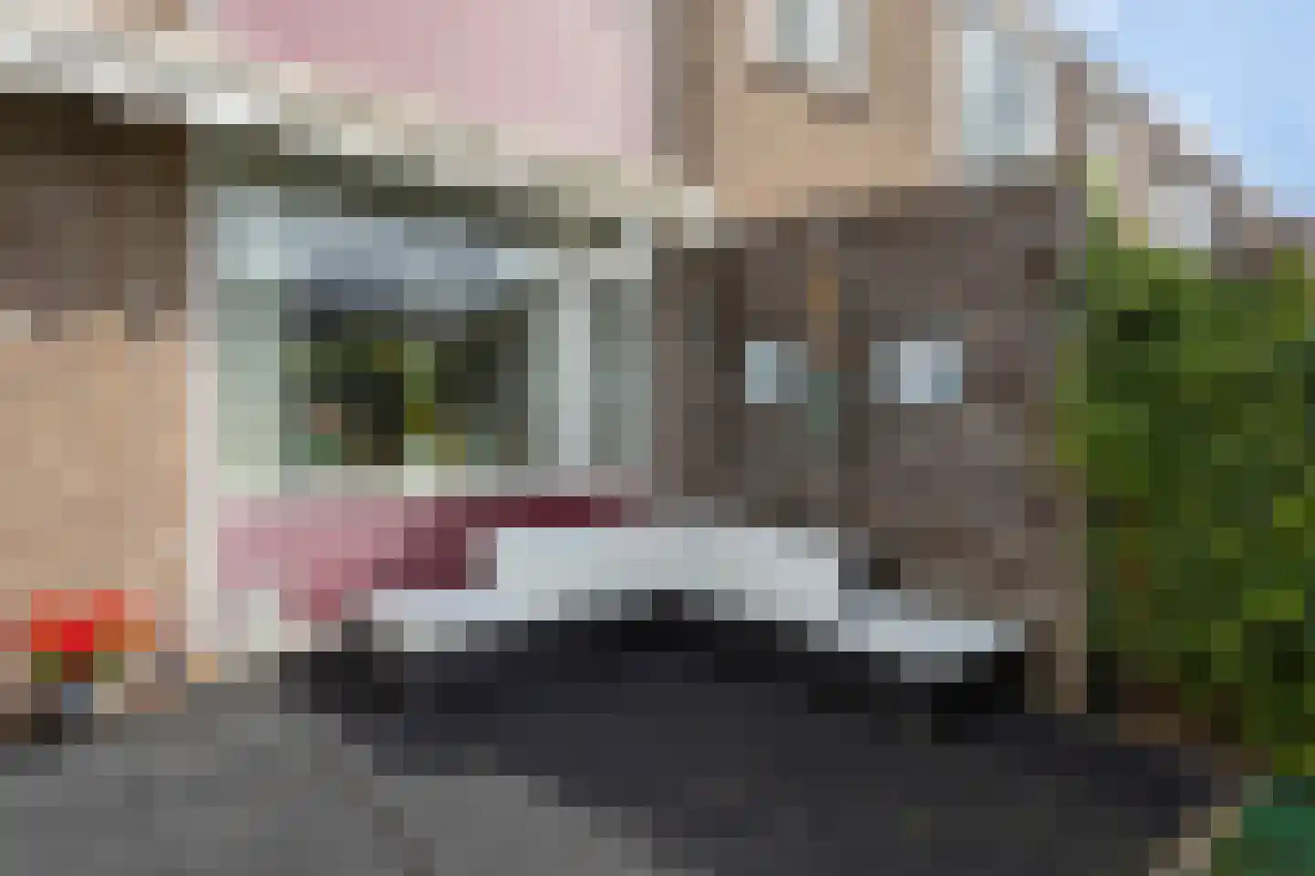 Don Carloshof 3 Hoogvliet Rotterdam thumbnail 11
