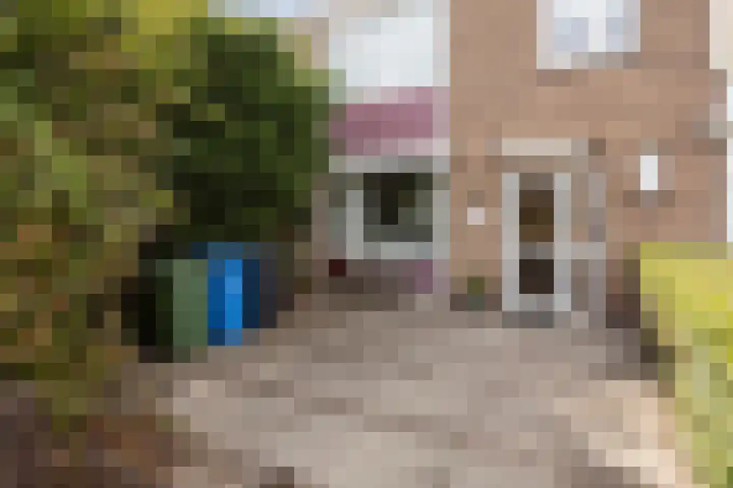 Don Carloshof 3 Hoogvliet Rotterdam thumbnail 14