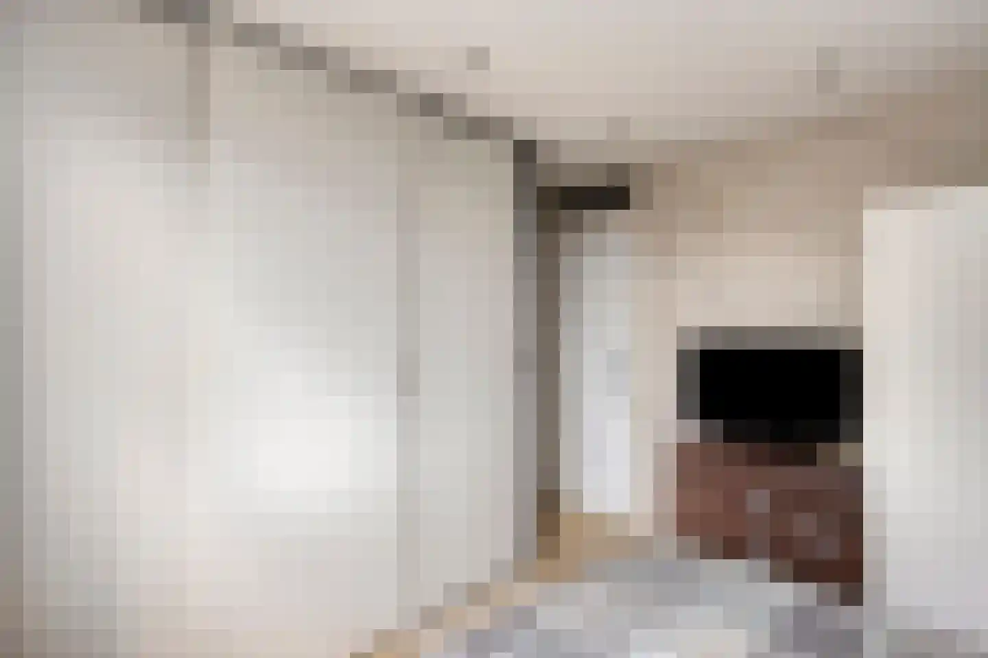 Don Carloshof 3 Hoogvliet Rotterdam thumbnail 17