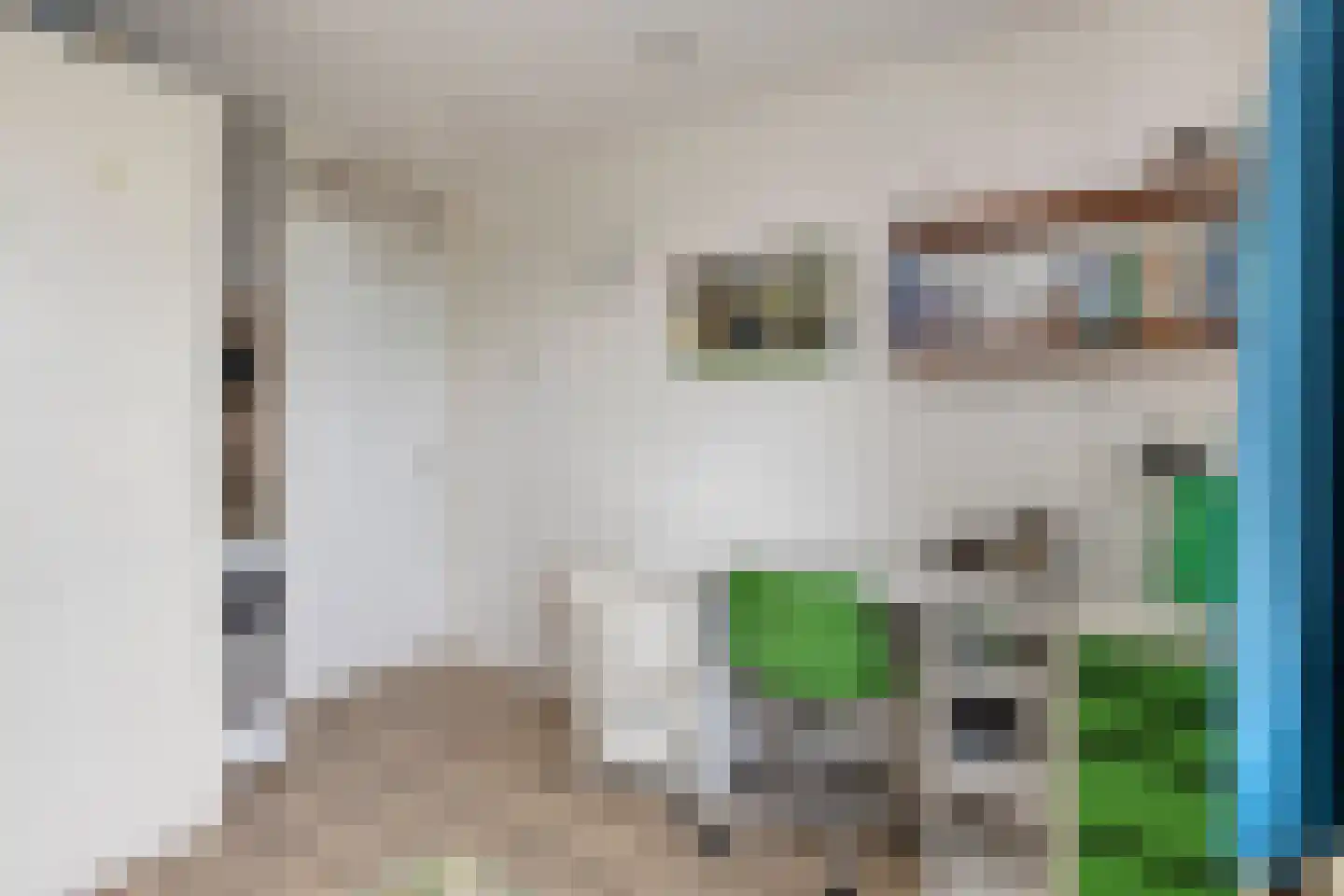 Don Carloshof 3 Hoogvliet Rotterdam thumbnail 19
