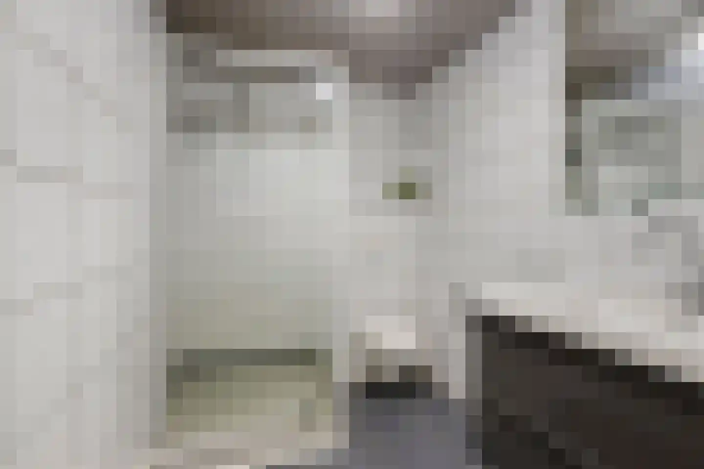 Don Carloshof 3 Hoogvliet Rotterdam thumbnail 25