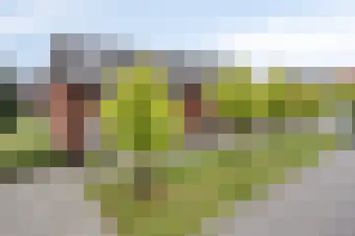 Don Carlosstraat 9 Apeldoorn thumbnail 34