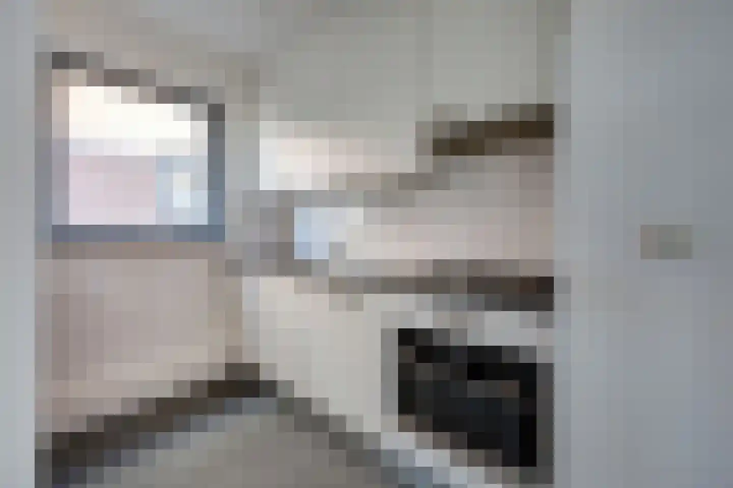 Don Felixhof 11 Wijchen thumbnail 6