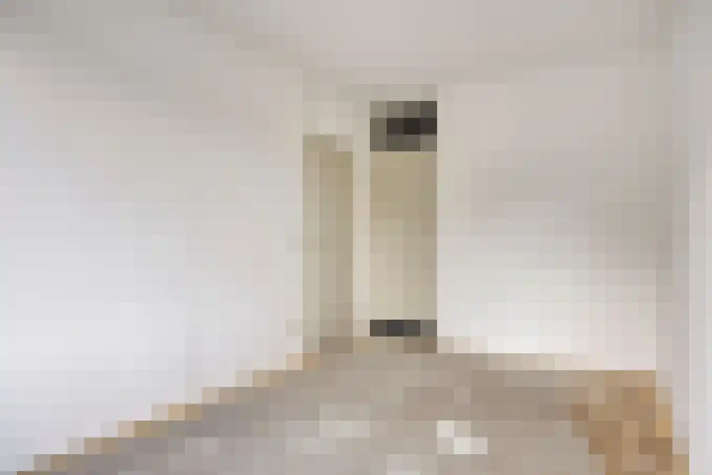 Don Felixhof 3 Wijchen thumbnail 9