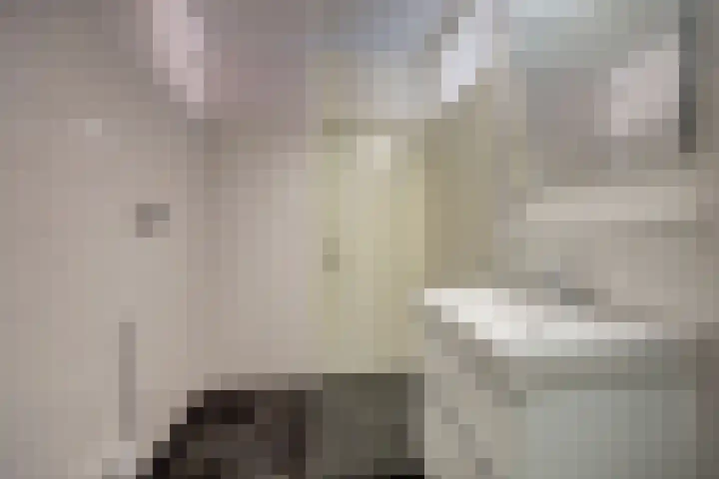 Don Felixhof 4 Wijchen thumbnail 14