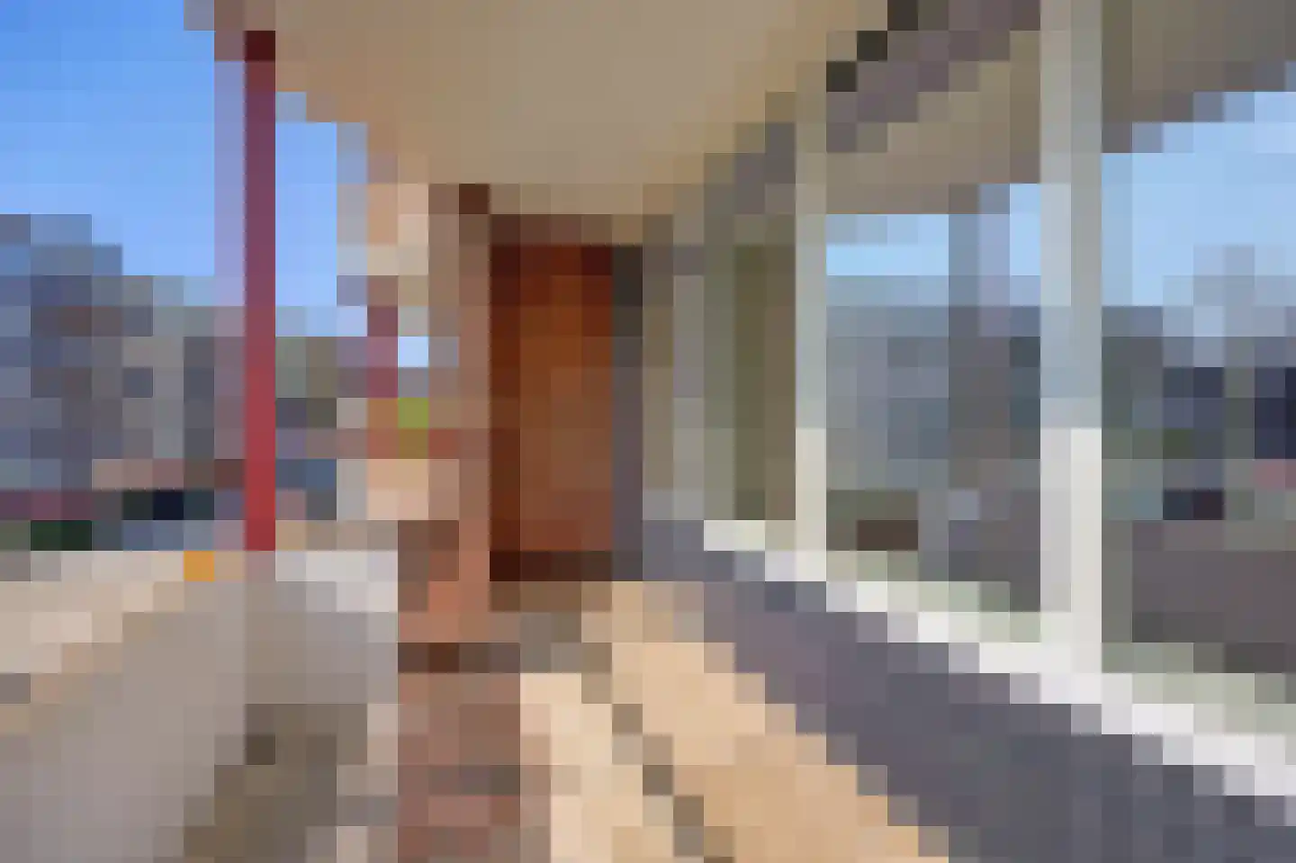 Don Felixhof 4 Wijchen thumbnail 17
