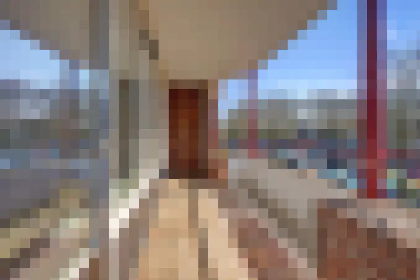 Don Felixhof 4 Wijchen thumbnail 19