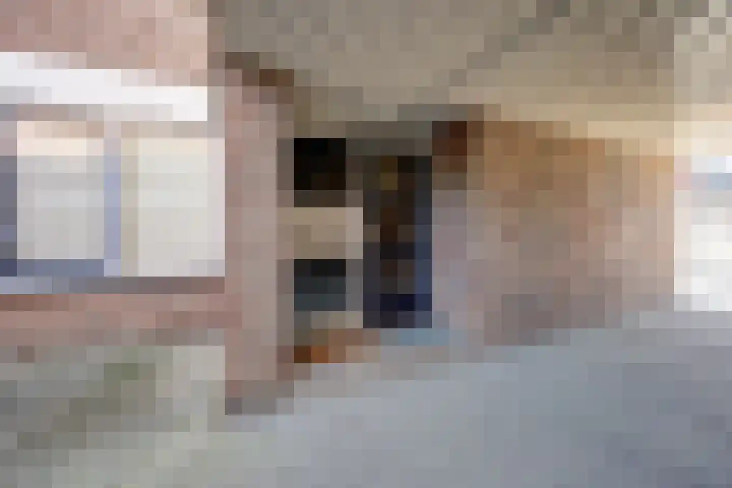 Don Felixhof 4 Wijchen thumbnail 20