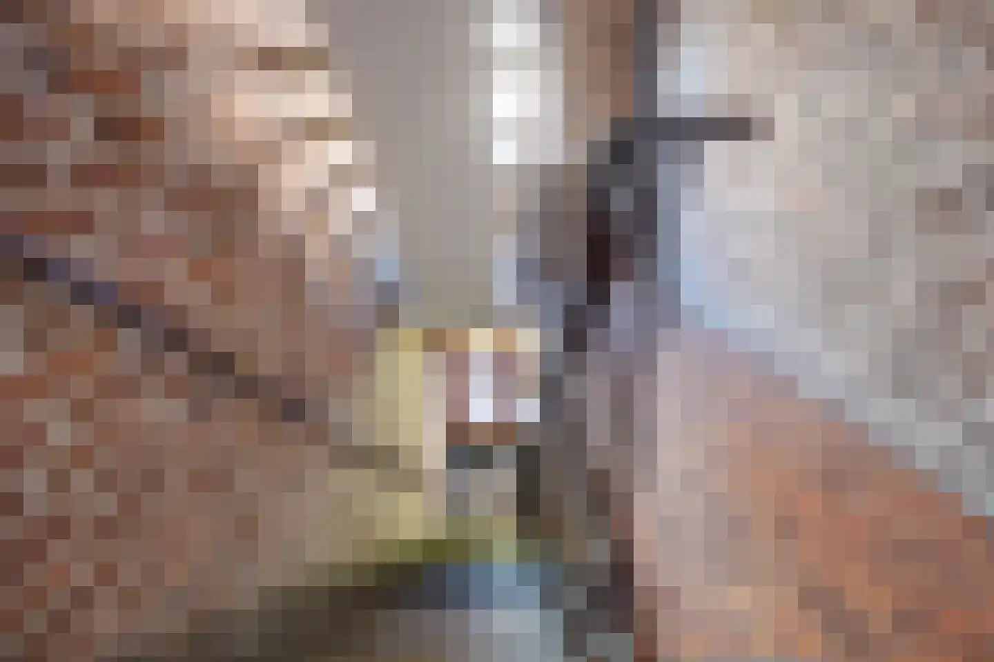 Don Felixhof 4 Wijchen thumbnail 22