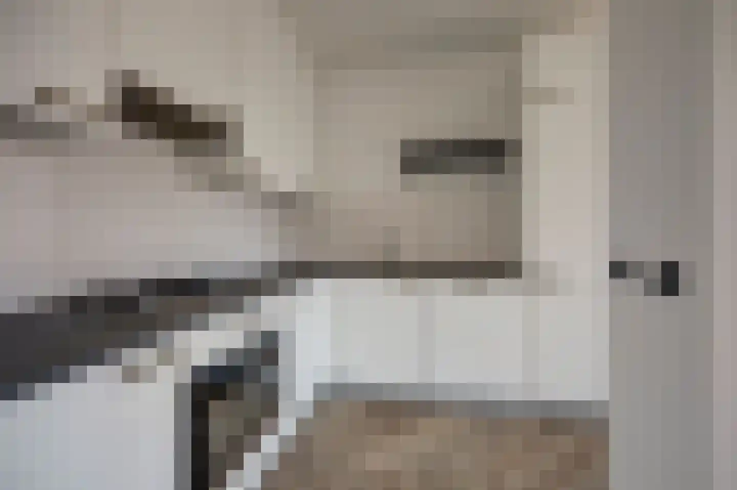 Don Felixhof 4 Wijchen thumbnail 8